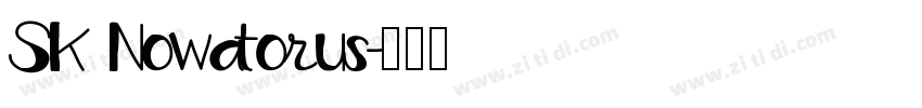 SK Nowatorus字体转换